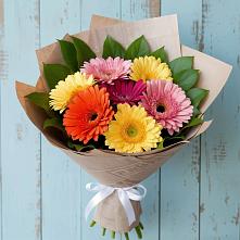 Букет цветов из:  Герберы #REPLACE_PRED# Приаргунске