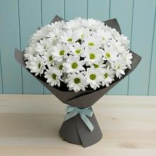 Букет цветов из:  Хризантемы в Приаргунске