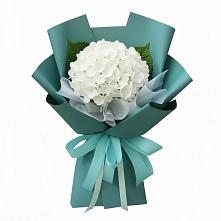 Букет цветов из:  Гортензия #REPLACE_PRED# Приаргунске